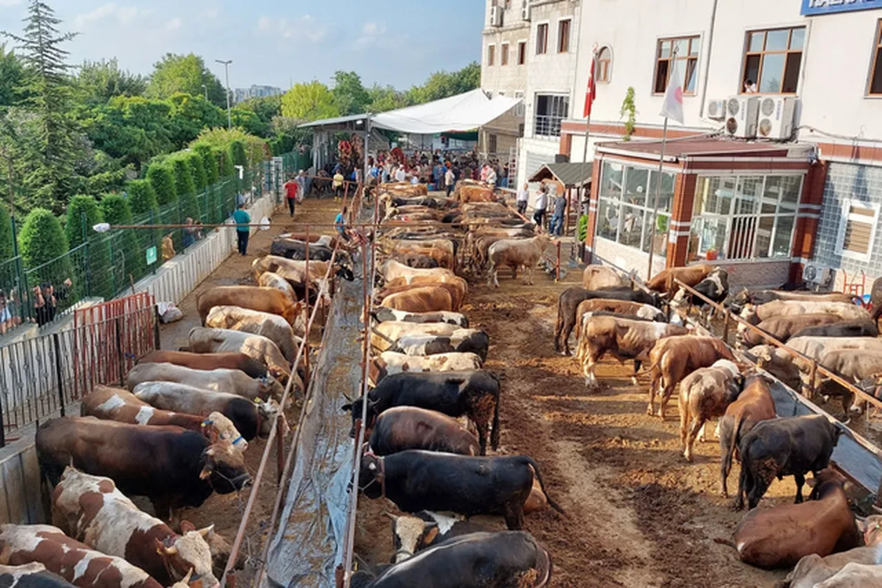 Kurban Bayramı tatili ne zaman hangi gün? Kurban Bayramı 9 gün mü oldu?