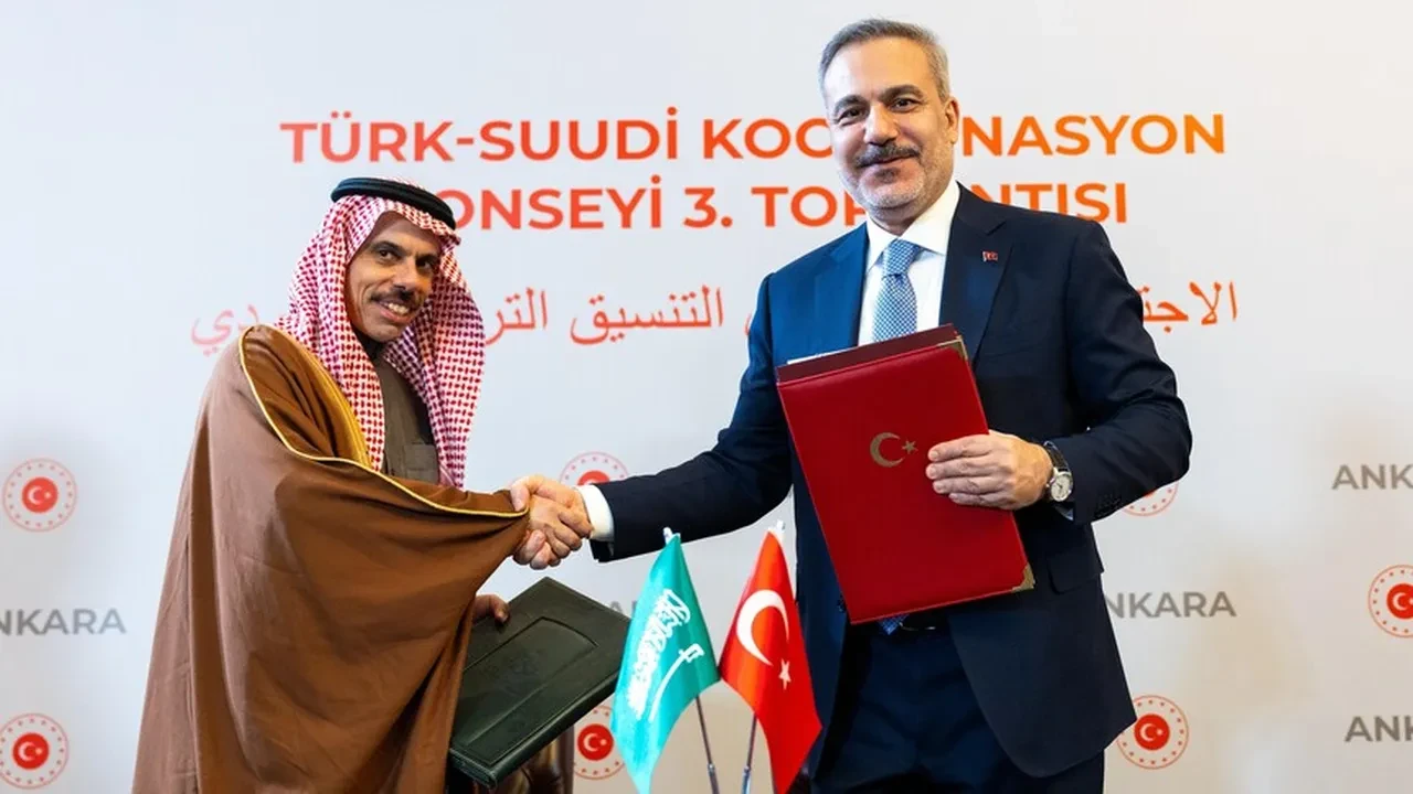 DMM'den 'Türkiye'nin lehine madde yok' iddialarına cevap