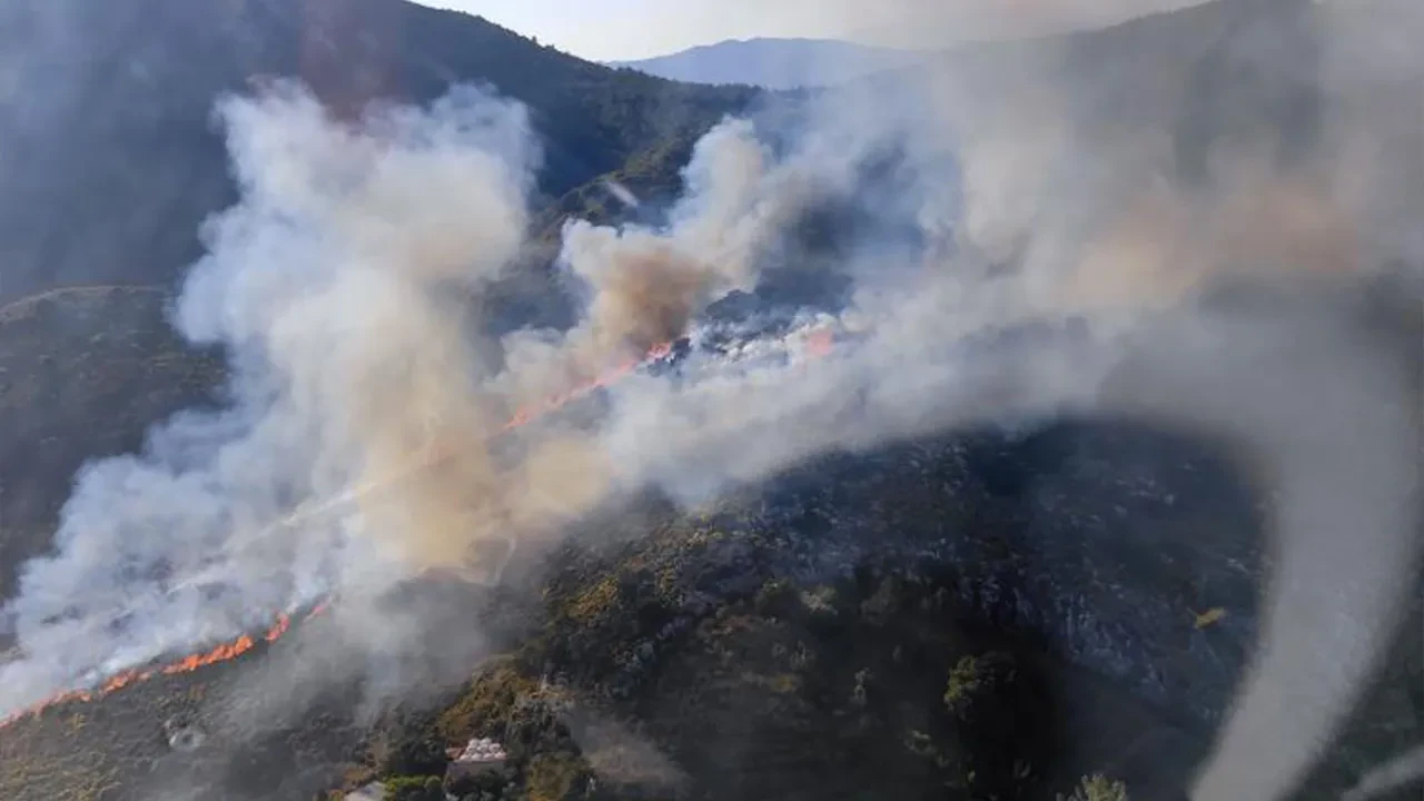 Marmaris’te orman yangını: Havadan ve karadan müdahale başladı