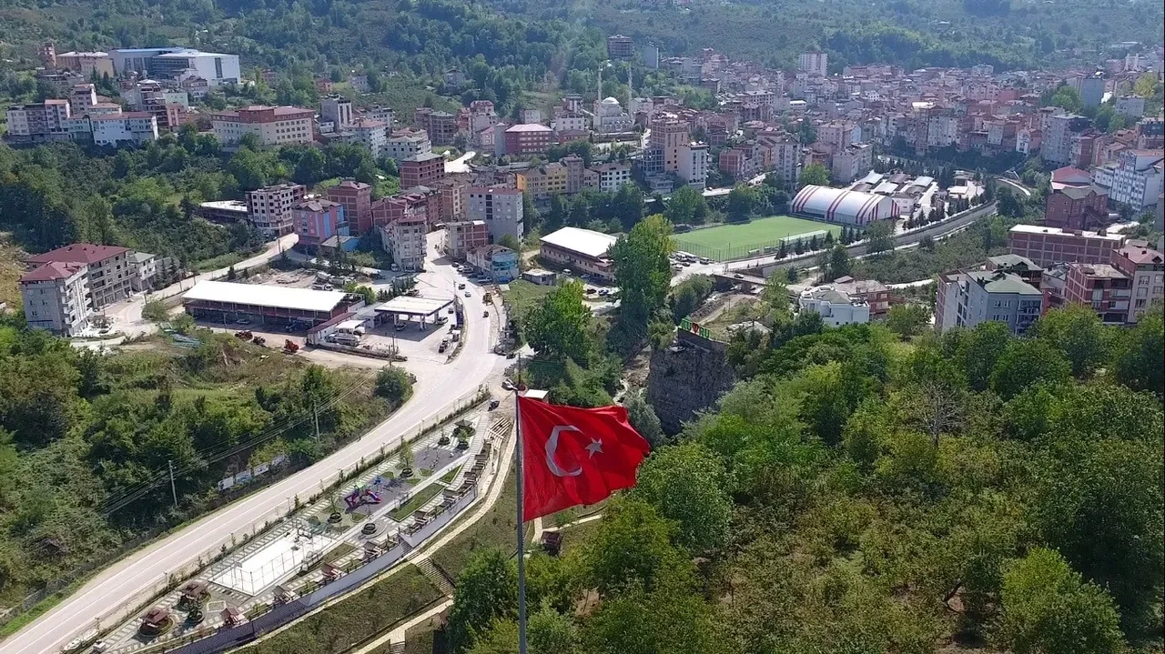 Ordu’da nüfusu artırmak için görülmemiş teşvik: 10 çocuk yapana otomobil, 8 çocuk yapana belediyede iş imkanı