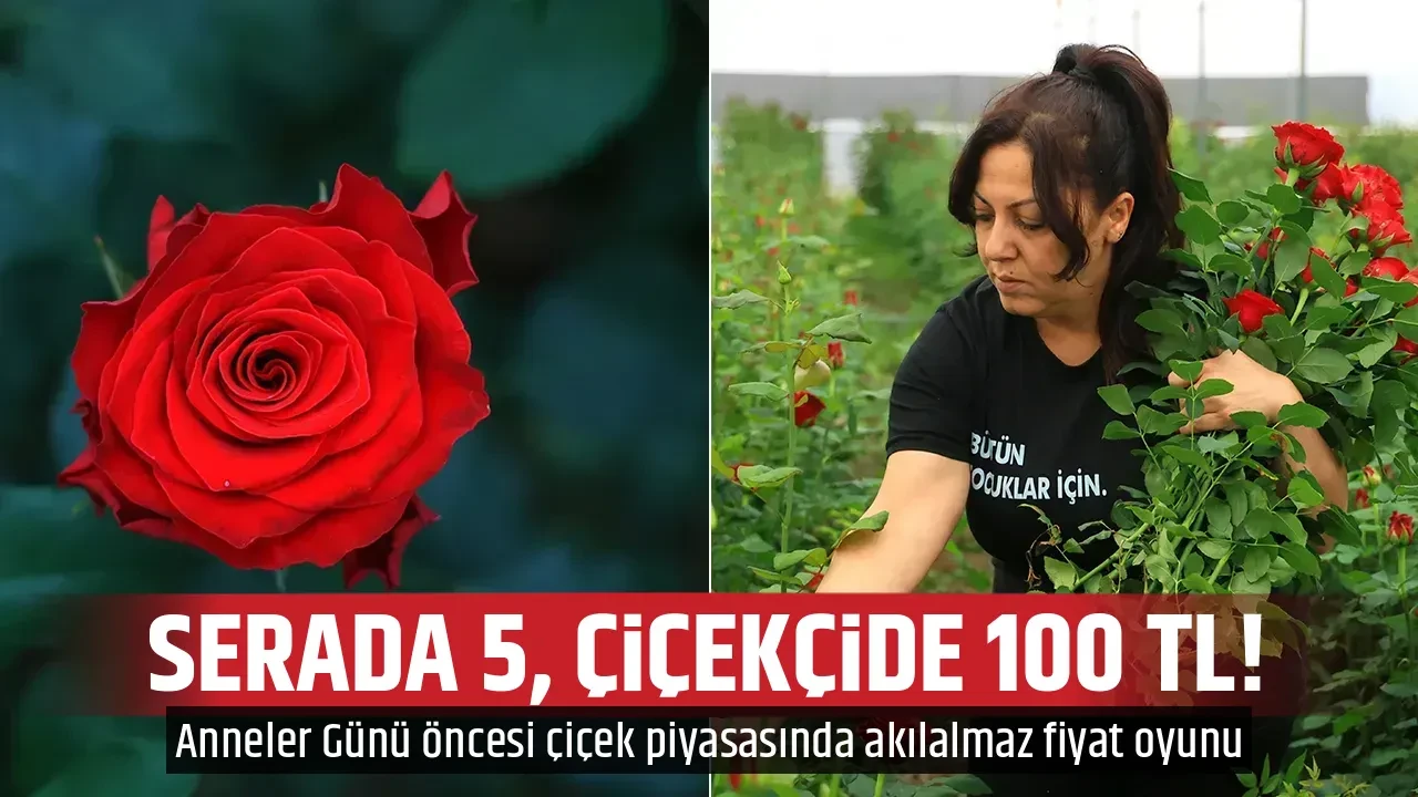SERADA 5, ÇİÇEKÇİDE 100 TL!