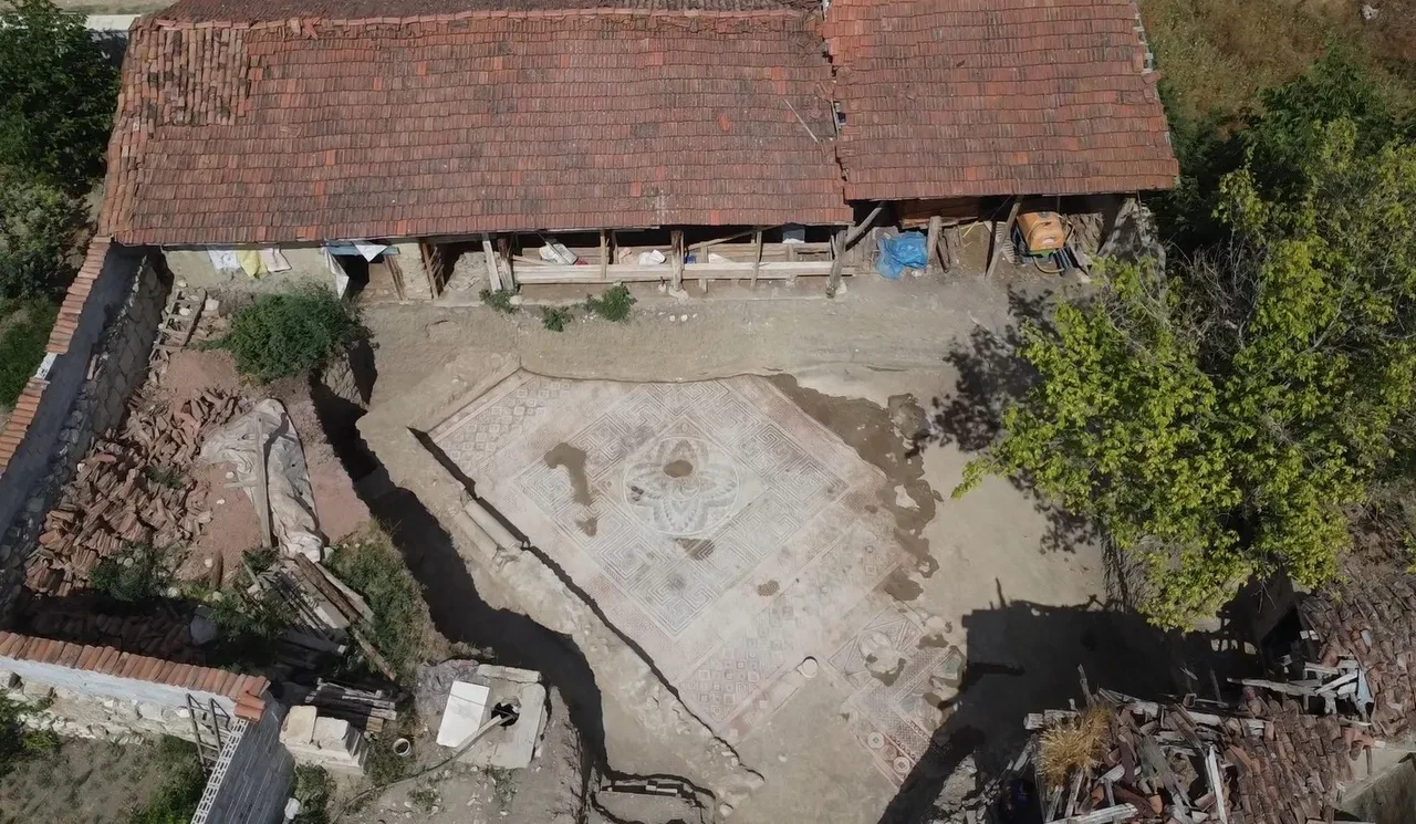Zeugma değil Tokat! Zile’de kaçak kazıda ortaya çıkan mozaikler işçiliğiyle "Çingene Kızı"na rakip oldu