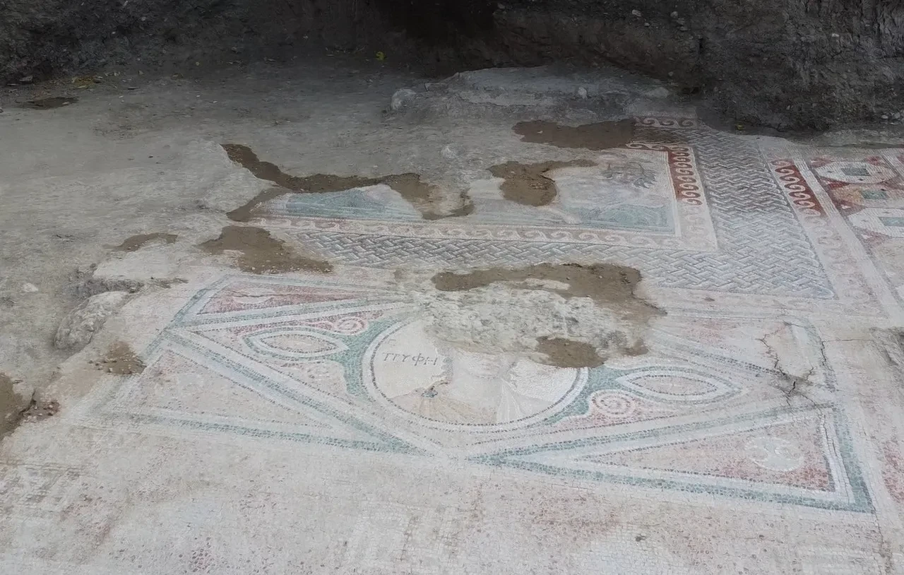 Zeugma değil Tokat! Zile’de kaçak kazıda ortaya çıkan mozaikler işçiliğiyle "Çingene Kızı"na rakip oldu