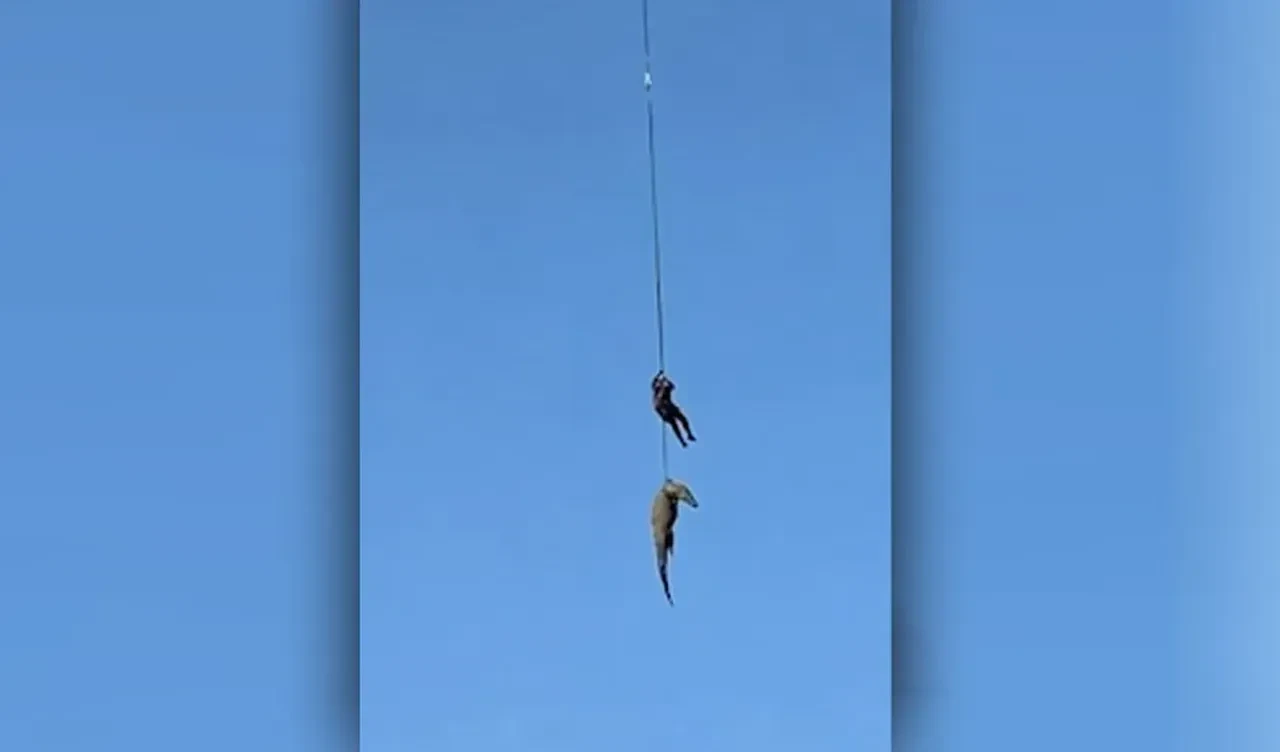Dev timsahın midesinden çıkanlar soruşturmayı genişletti! 