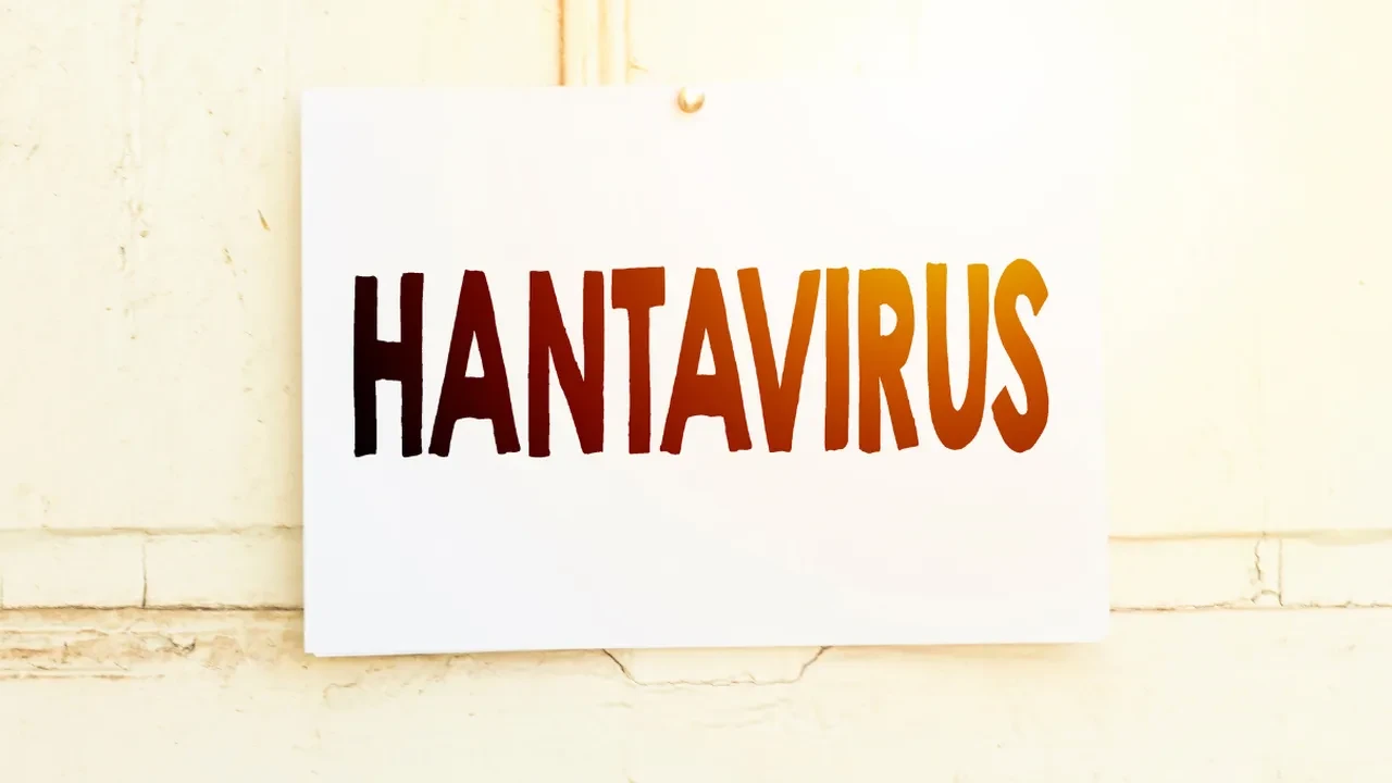 Hantavirüs insandan insana bulaşır mı? Hantavirüs ne kadar tehlikeli?