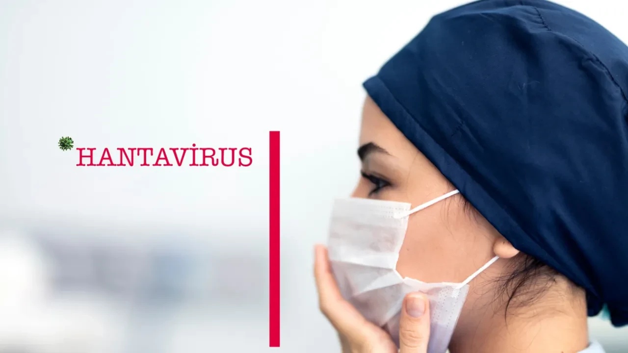 Hantavirüs insandan insana bulaşır mı? Hantavirüs ne kadar tehlikeli?