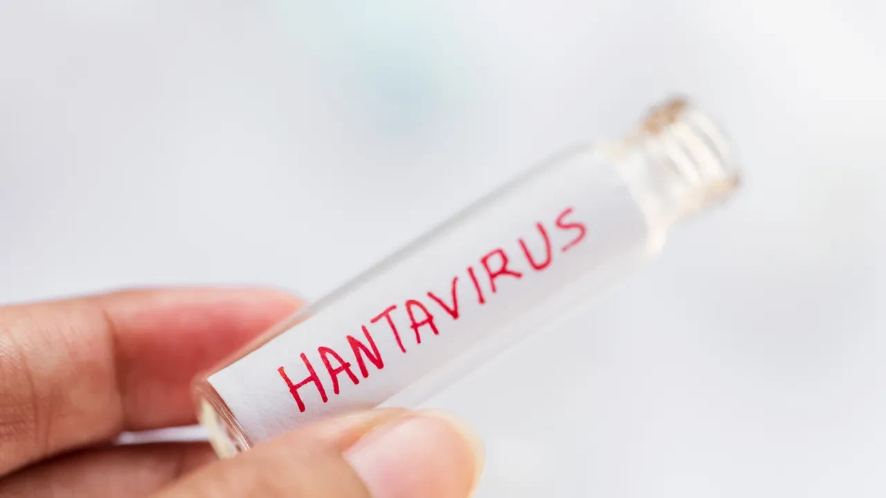Hantavirüs insandan insana bulaşır mı? Hantavirüs ne kadar tehlikeli?
