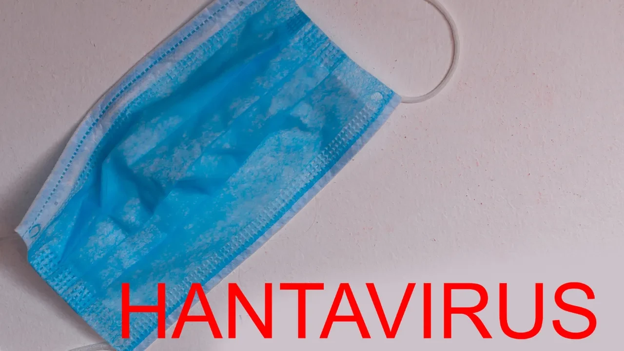 Hantavirüs insandan insana bulaşır mı? Hantavirüs ne kadar tehlikeli?