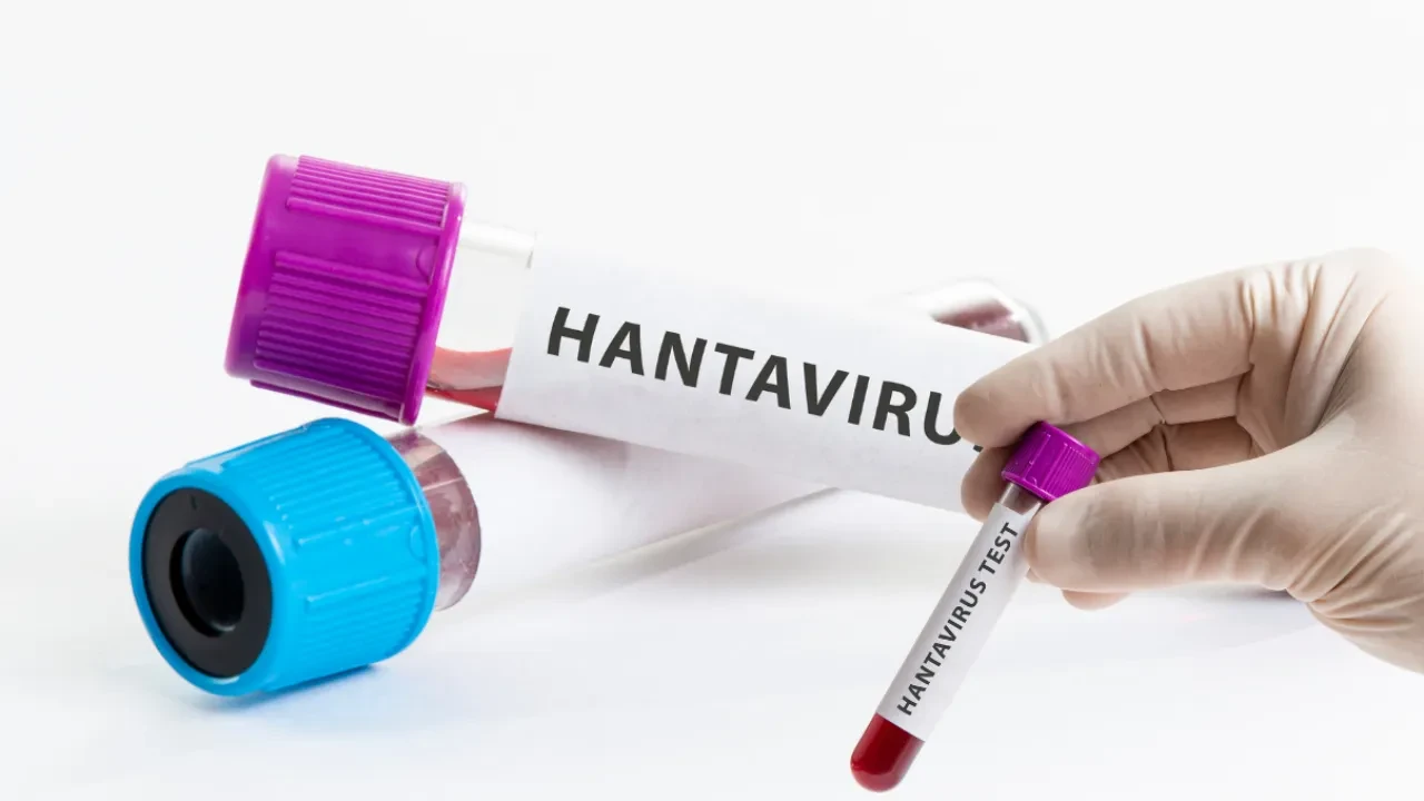 Hantavirüs insandan insana bulaşır mı? Hantavirüs ne kadar tehlikeli?