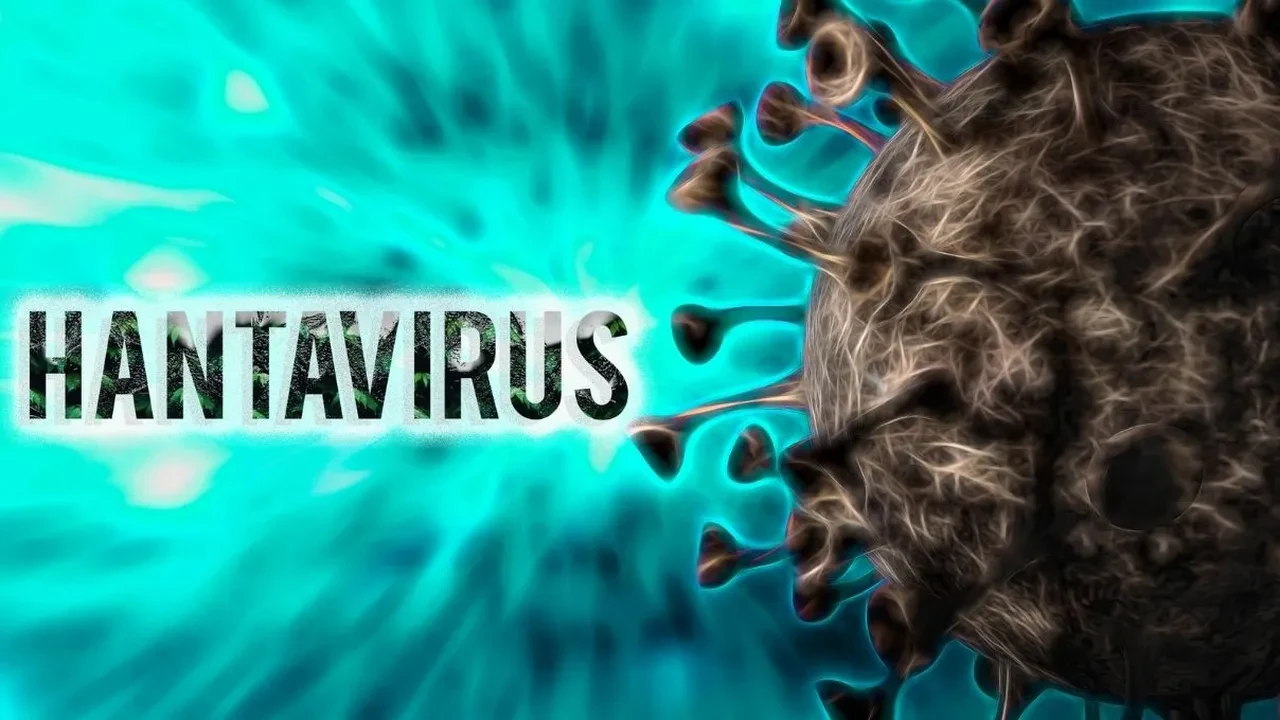 Hantavirüs Türkiye’de var mı? Hantavirüs Ruhi Çenet’e bulaştı mı?