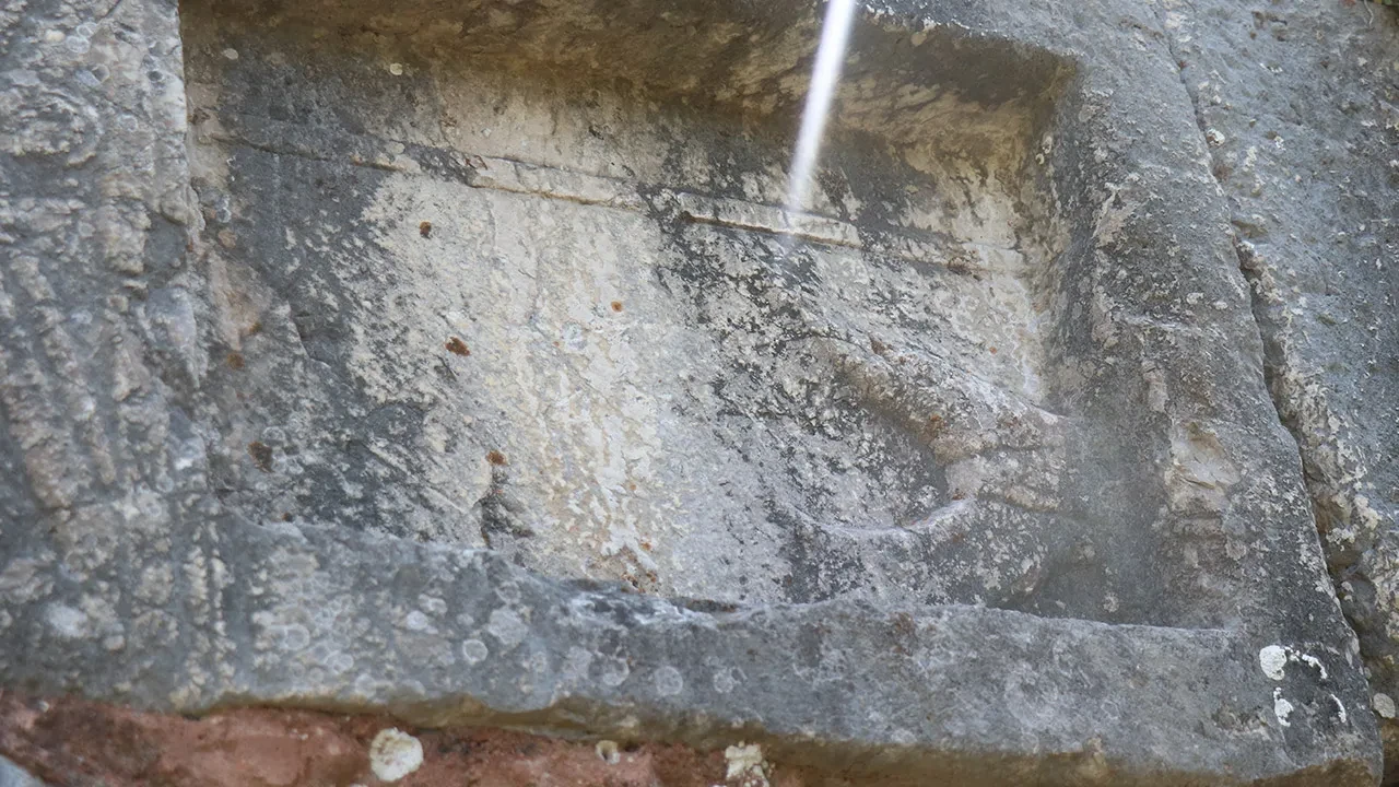 Fotoğraf