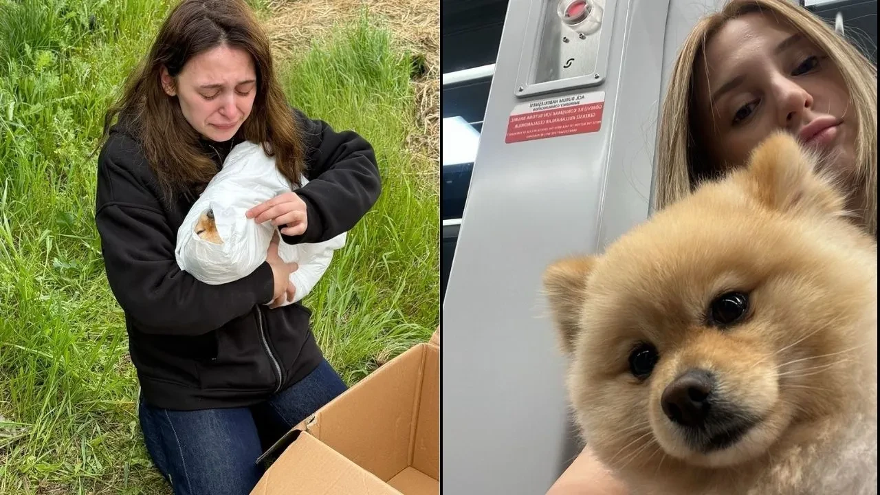 Petshopta korkunç ihmal: Yıkamaya verdiği köpeğini cansız bedeniyle karşılaştı