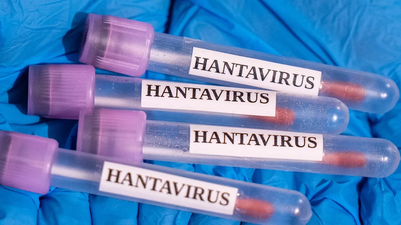 Dünya Sağlık Örgütü'nden Türkiye dahil 12 ülkeye hantavirüs uyarısı