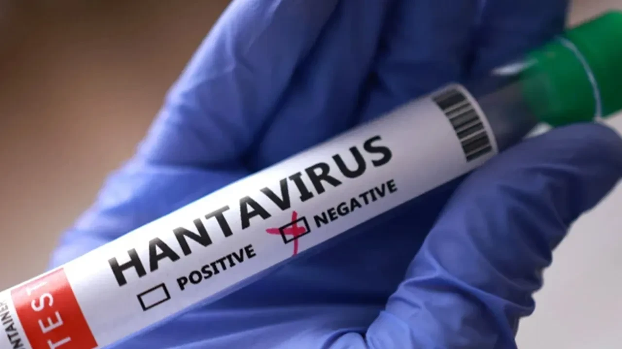 Hantavirüs tehlikesi büyüyor! İspanyol kadın hastaneye kaldırıldı