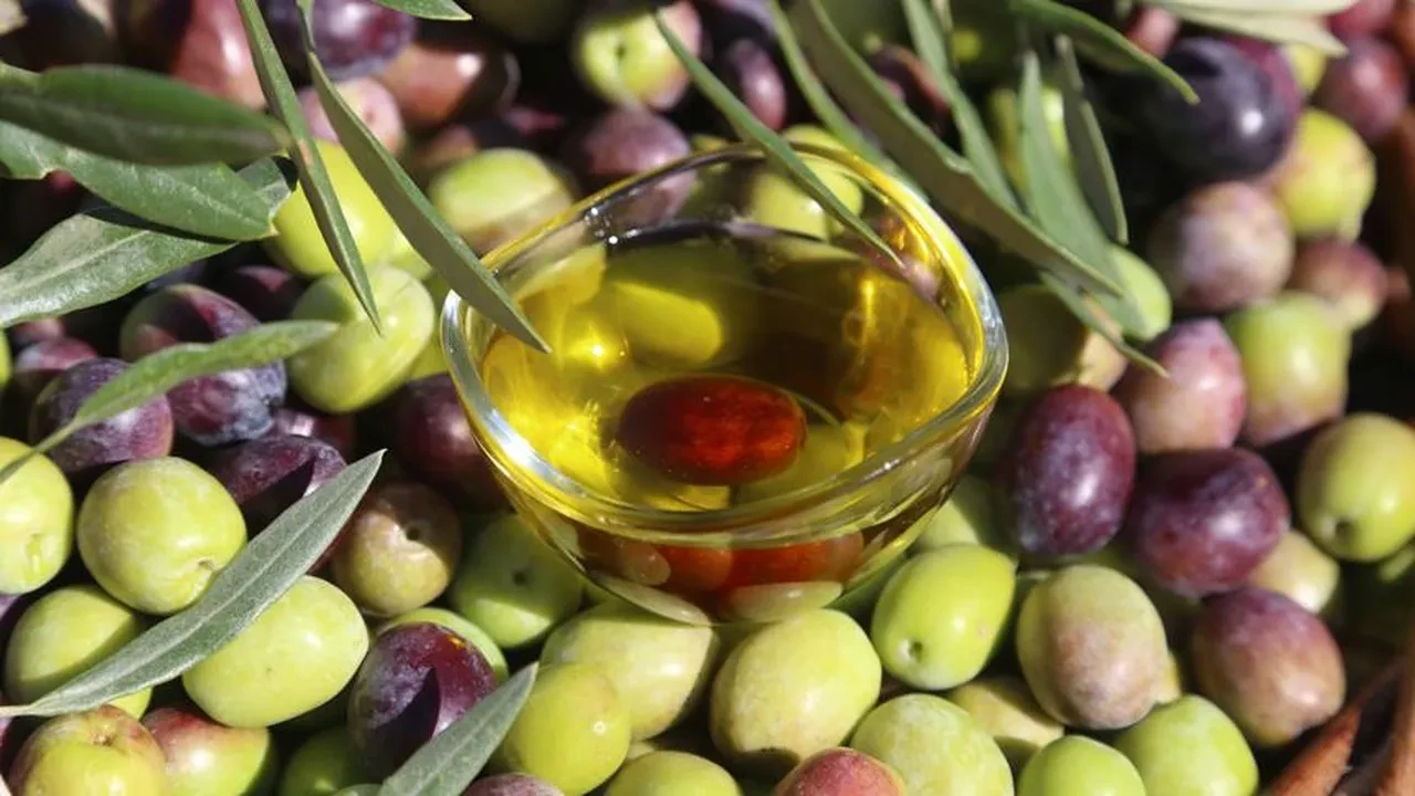 Her gün 5 tane zeytin yiyenlerin vücudunda bakın ne oluyor! Faydalı sanılıyordu ama gerçek bambaşka çıktı...