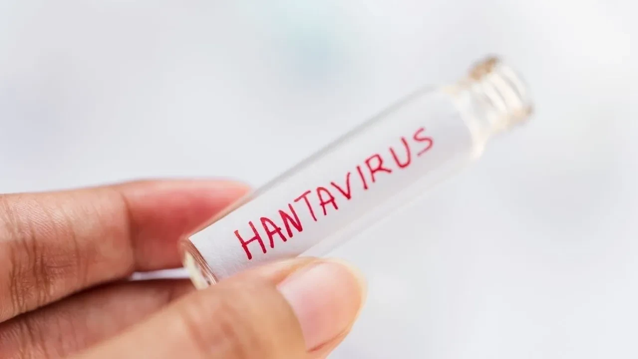 Hızla yayılan hantavirüs DSÖ uyardı! Hantavirüsü Türkiye'ye geldi mi? Pandemi kapıda mı? Uzman isimden kritik açıklama