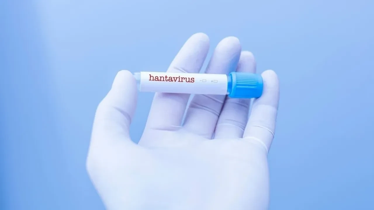 Hızla yayılan hantavirüs DSÖ uyardı! Hantavirüsü Türkiye'ye geldi mi? Pandemi kapıda mı? Uzman isimden kritik açıklama