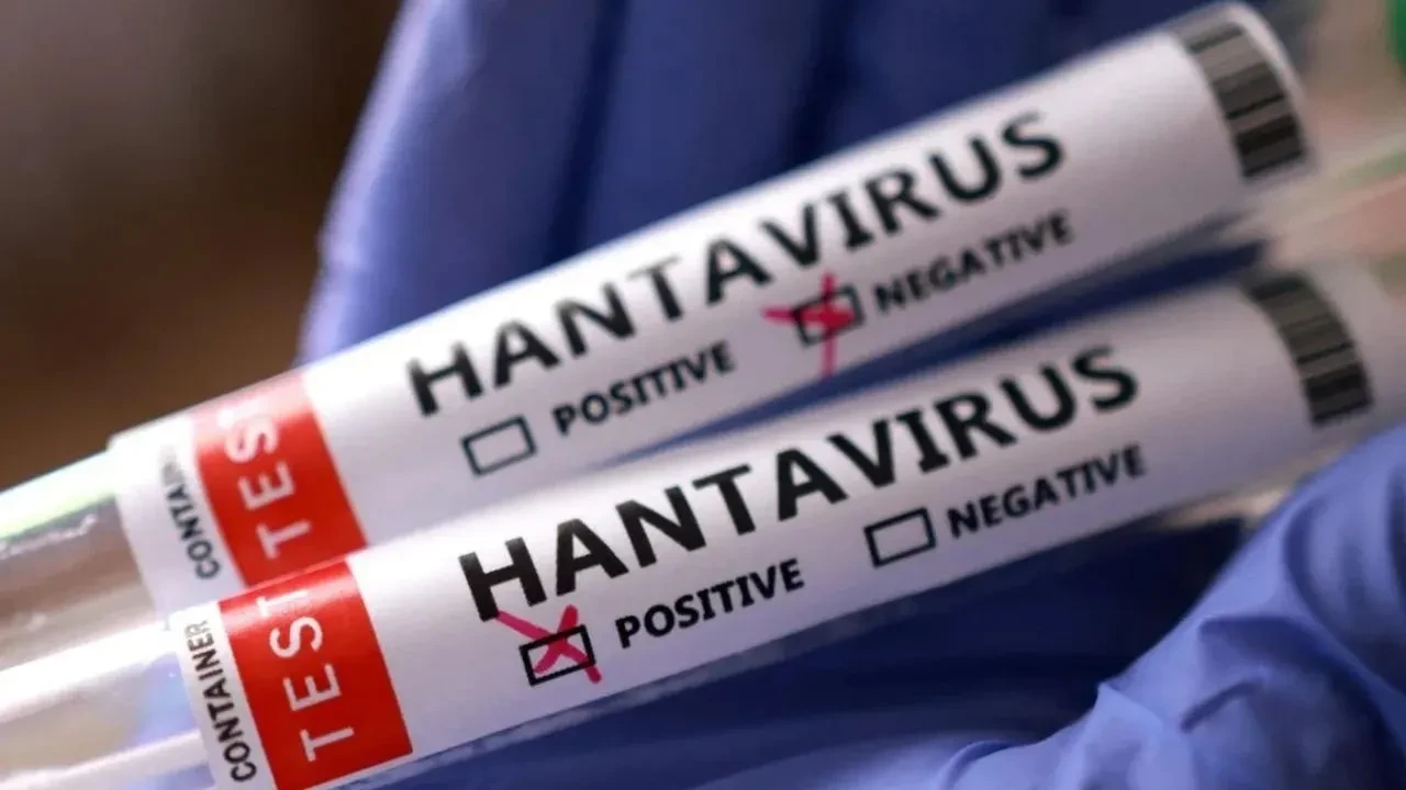Hızla yayılan hantavirüs DSÖ uyardı! Hantavirüsü Türkiye'ye geldi mi? Pandemi kapıda mı? Uzman isimden kritik açıklama