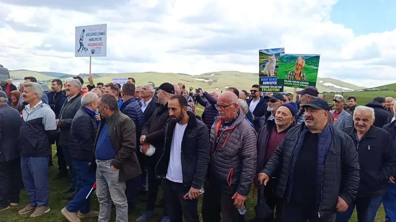 Ordu Perşembe Yaylası'ndaki maden sondajını Danıştay durdurdu! Vatandaşın bilirkişiden tek beklentisi var