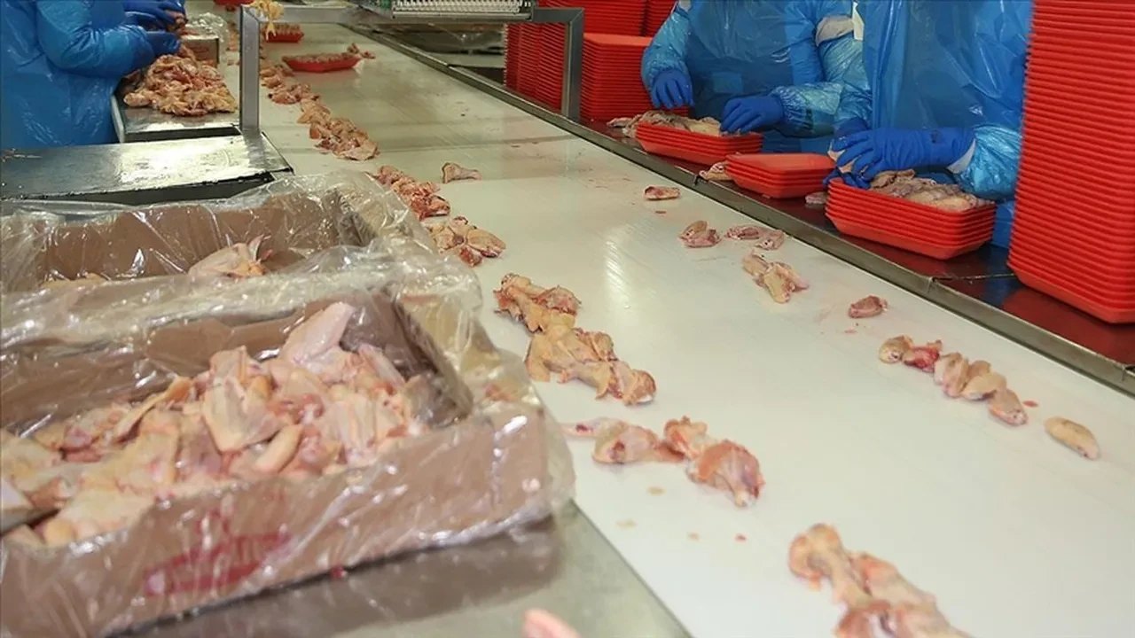 Tavuğu pişirmeden önce sakın yıkamayın! Çoğumuz yapıyor ama aslında ölümcül bir hataymış