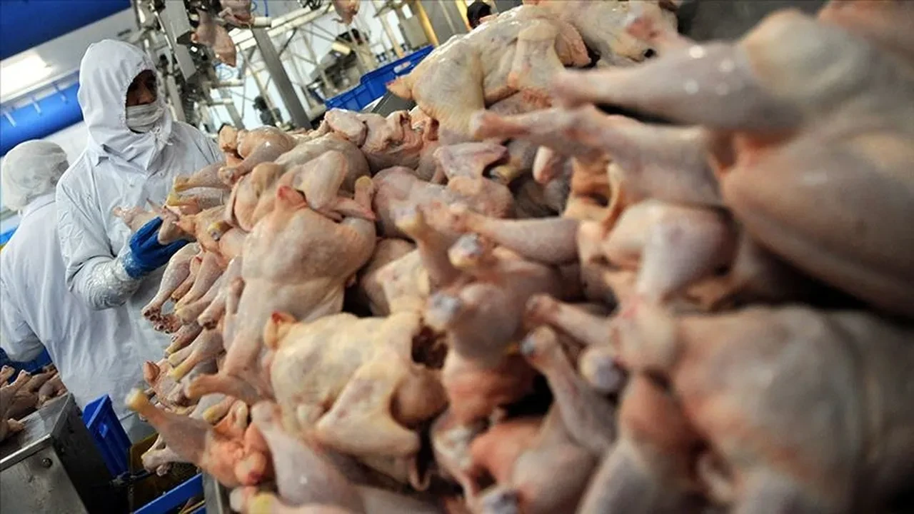 Tavuğu pişirmeden önce sakın yıkamayın! Çoğumuz yapıyor ama aslında ölümcül bir hataymış