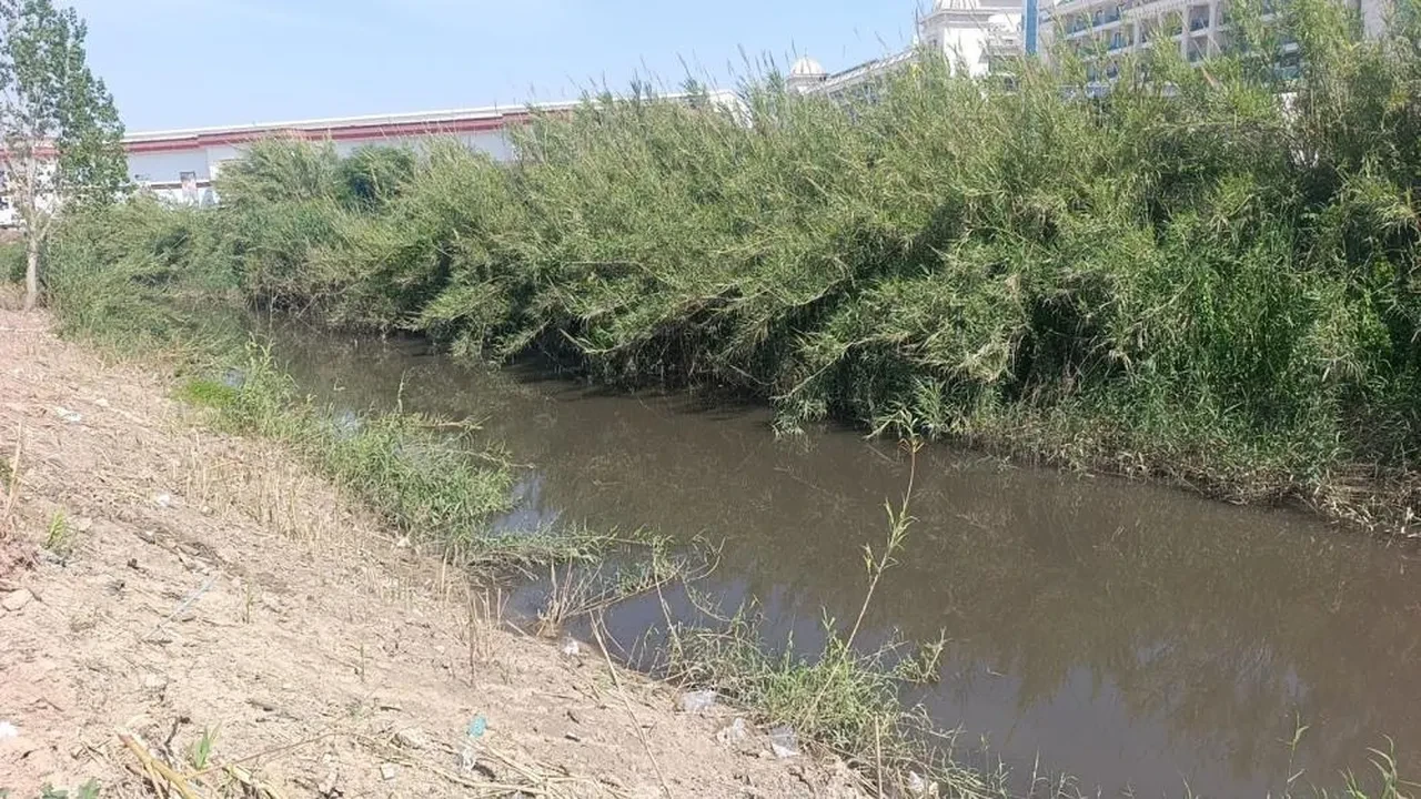 Dereden gelen sular denizi kahverengiye bürüdü, turistler sahili boşalttı