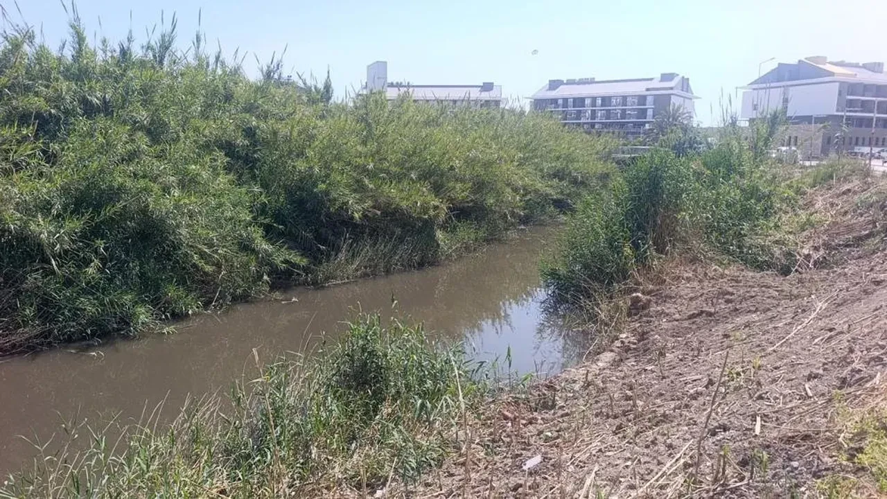 Dereden gelen sular denizi kahverengiye bürüdü, turistler sahili boşalttı