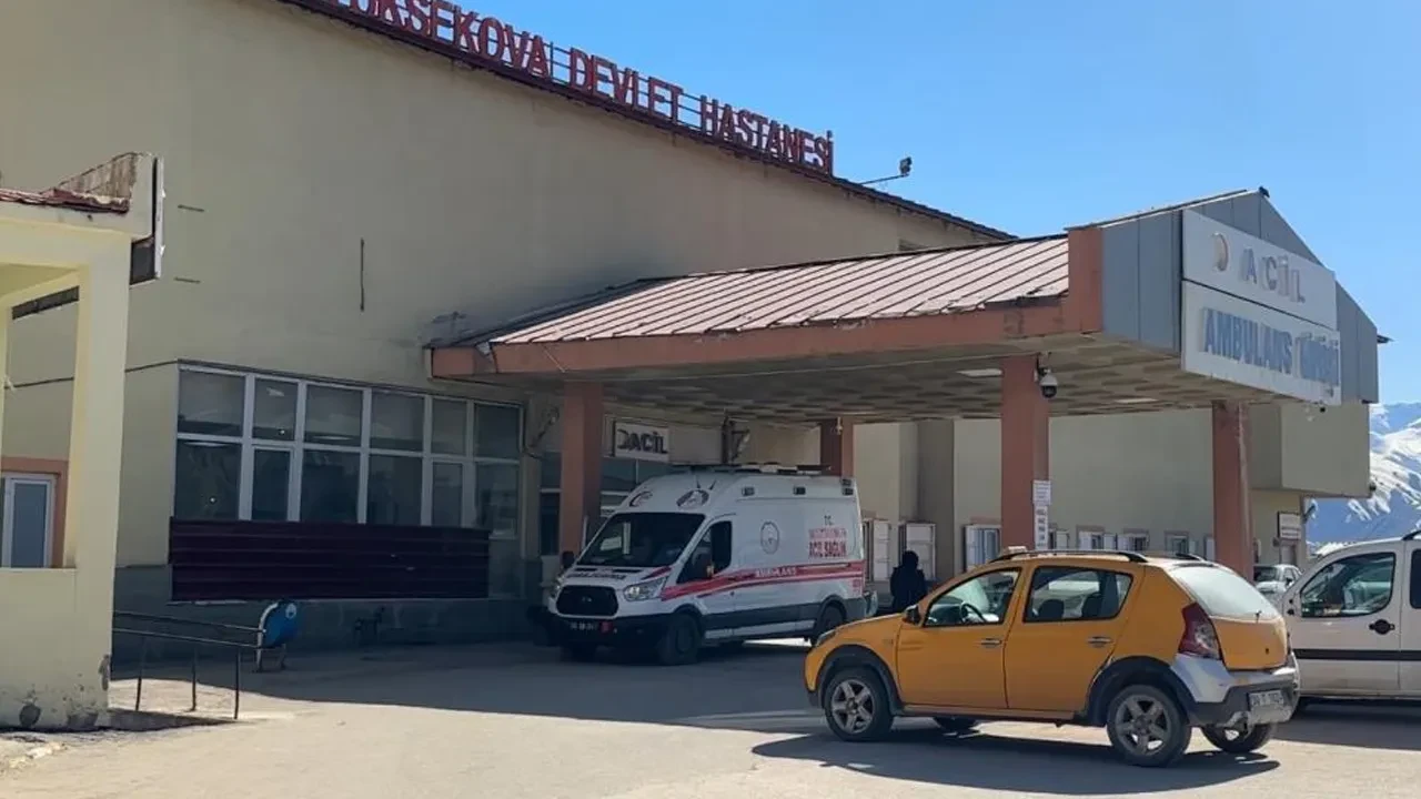 Hakkari'de yaylada patlama! Çoban yaralandı, 3 koyun öldü