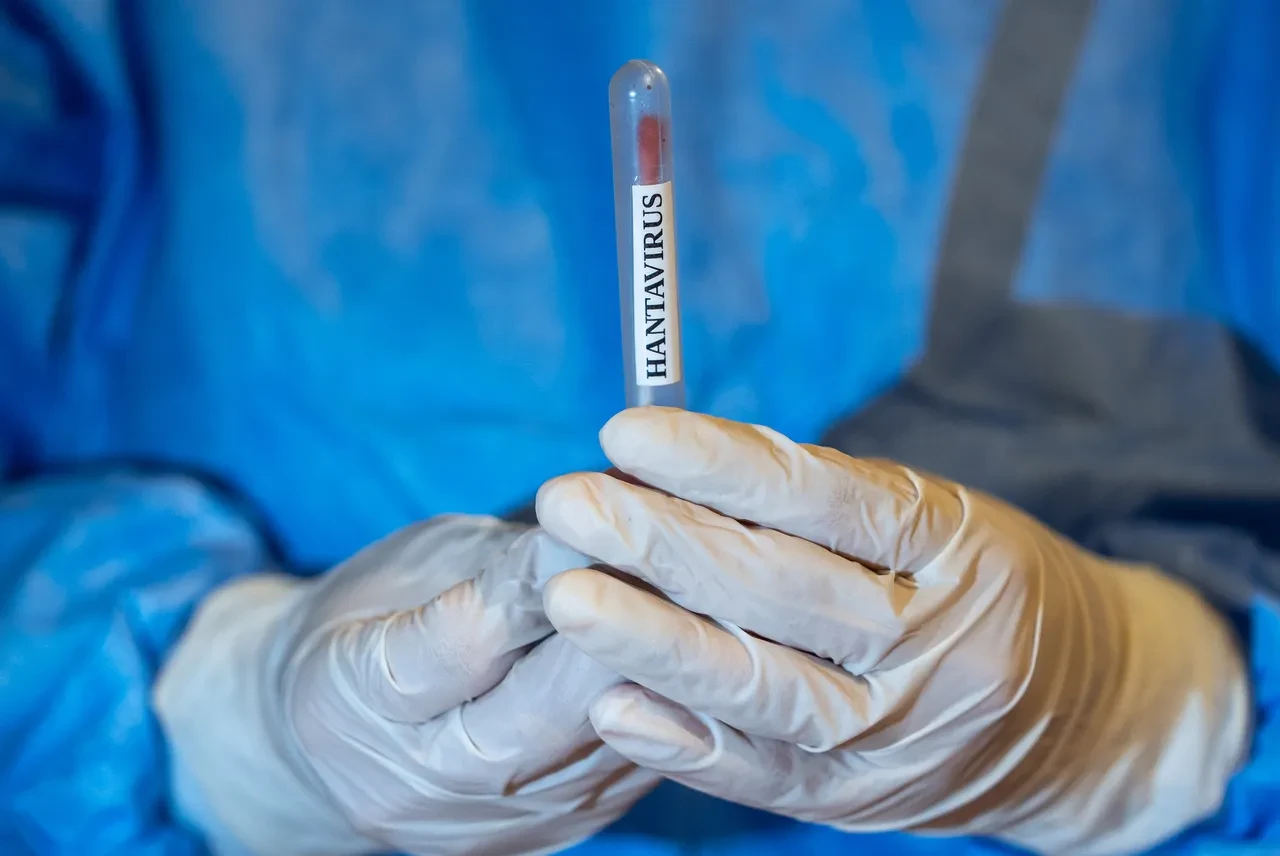 Hantavirüs çıkan geminin tahliyesi için alarm! Dünyaya yayılmaması için önlemler hazır