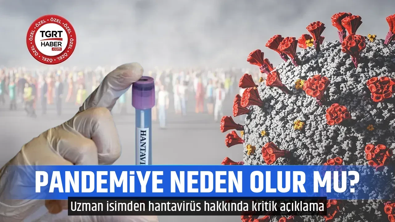 Hantavirüs pandemiye neden olur mu? Uzman isim kritik soruları cevapladı