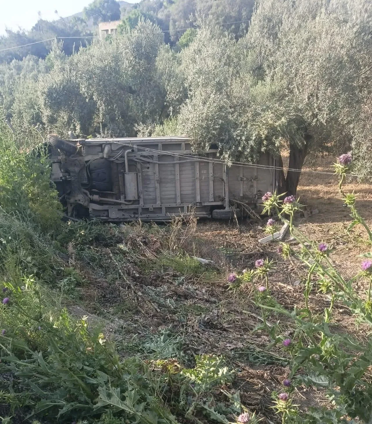 Manisa'da işçileri taşıyan minibüs tarlaya uçtu! Çok sayıda yaralı var 
