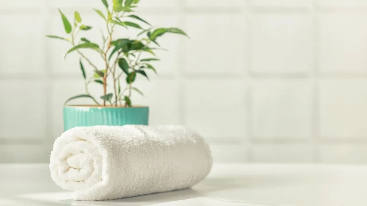 Banyoları otel konforuna çeviren tüyolar! Kalabalık yok düzen şahane