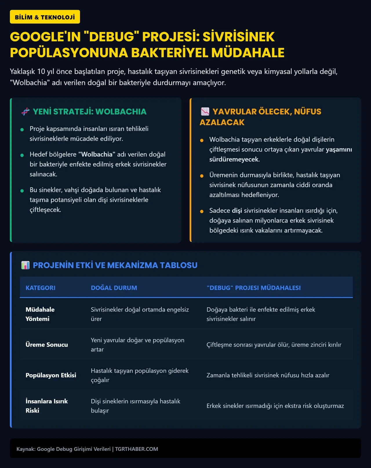 Google'un ölüm makineleri! 32 milyon sivrisinek doğaya salınacak: Yavruları ölecek, nüfusları azalacak