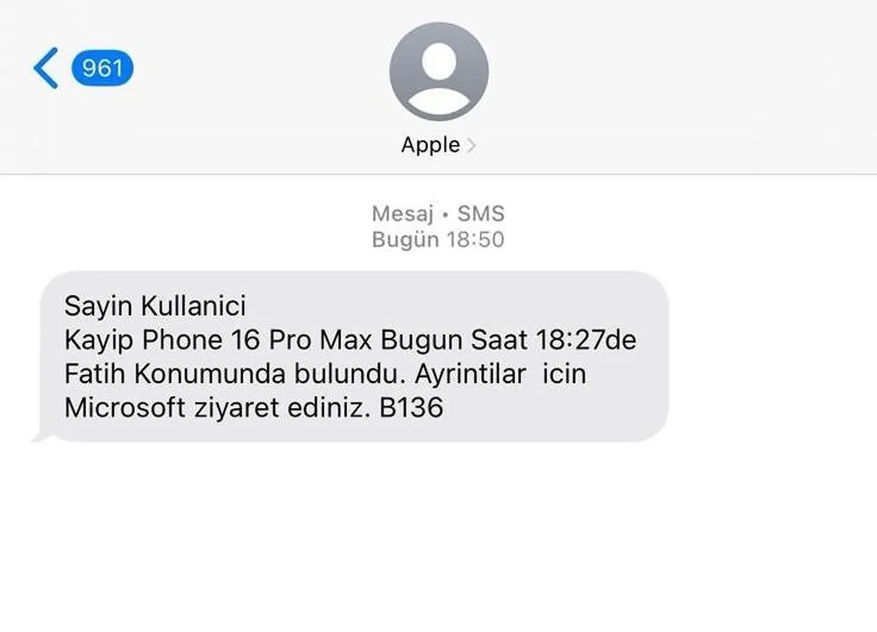 Telefonu çalındıktan sonra başına gelenler şoke etti! Gelen mesajı açınca her şey altüst oldu 