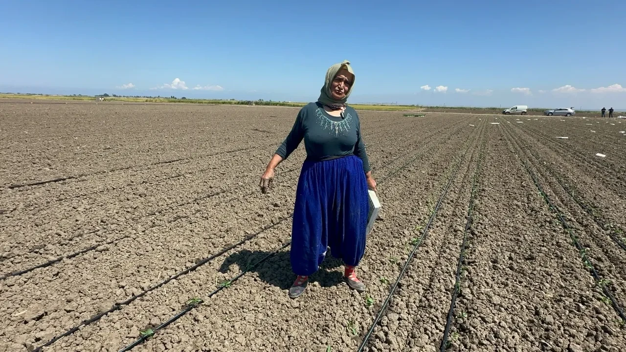 Fatma Teyze yıllara meydan okuyor: 70 yaşında hâlâ tarlada!
