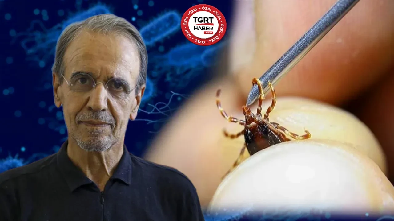 Kene salgını büyüyor! Bu bölgelerde yaşayanlar dikkat! Mehmet Ceyhan'dan hayati uyarılar: Griple karıştırılıyor!