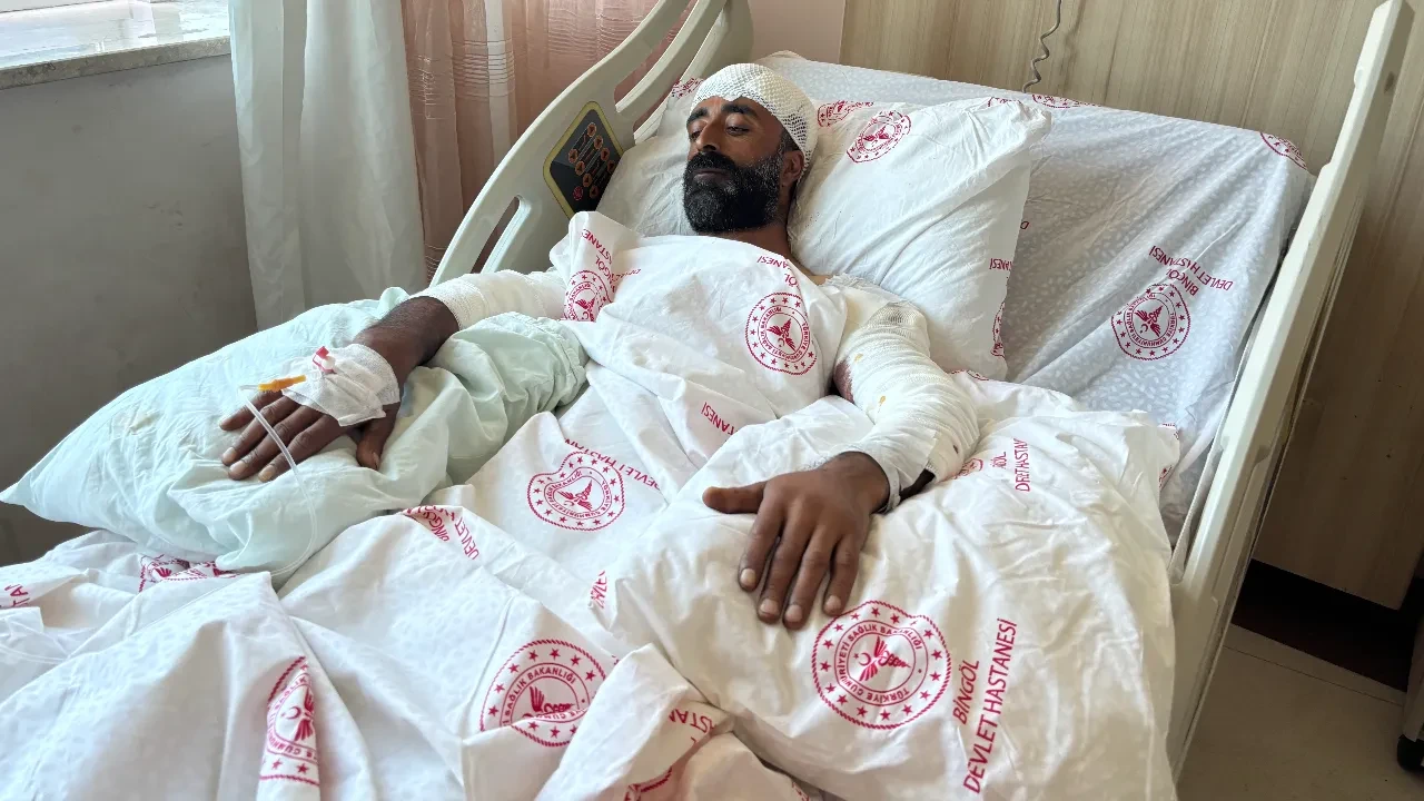 Mantar toplarken ayı saldırısına uğradı! Tek hareketi ile ayının pençelerinden kurtuldu