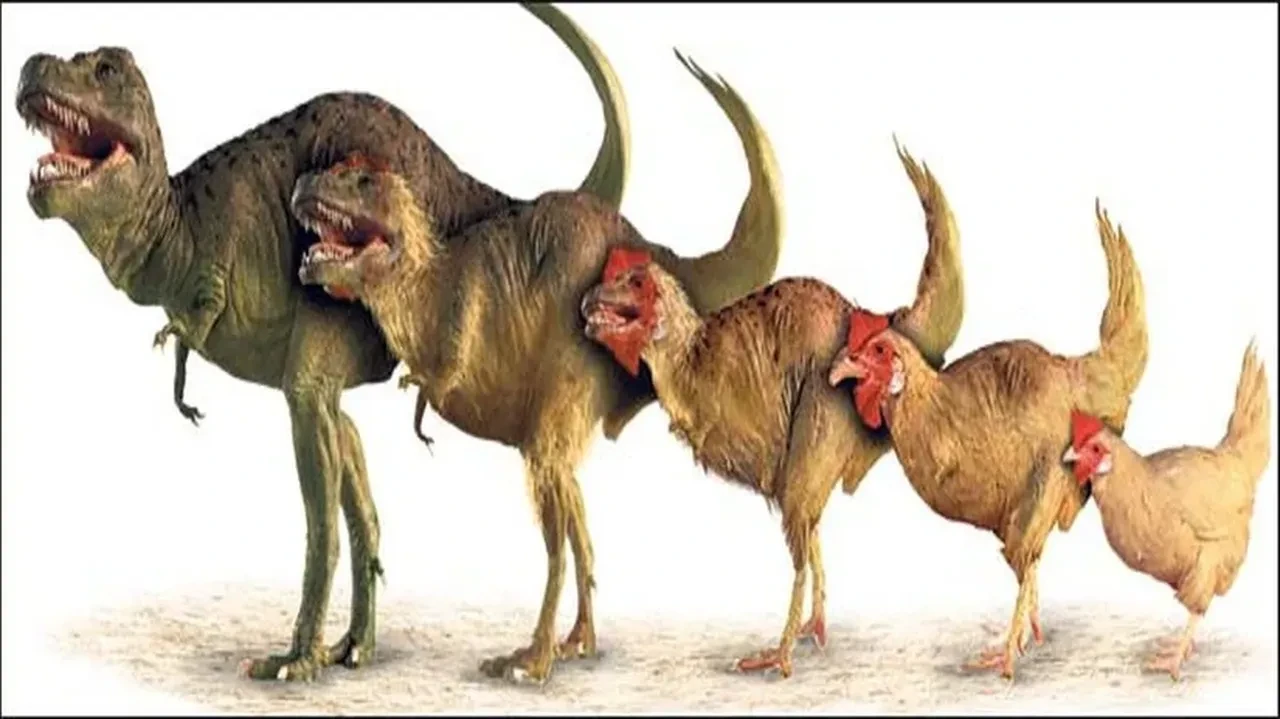 T-Rex derisinden çanta yaptılar, açık artırmayla satılacak! Dinozor mu tavuk mu? Bilim insanları da ikiye bölündü