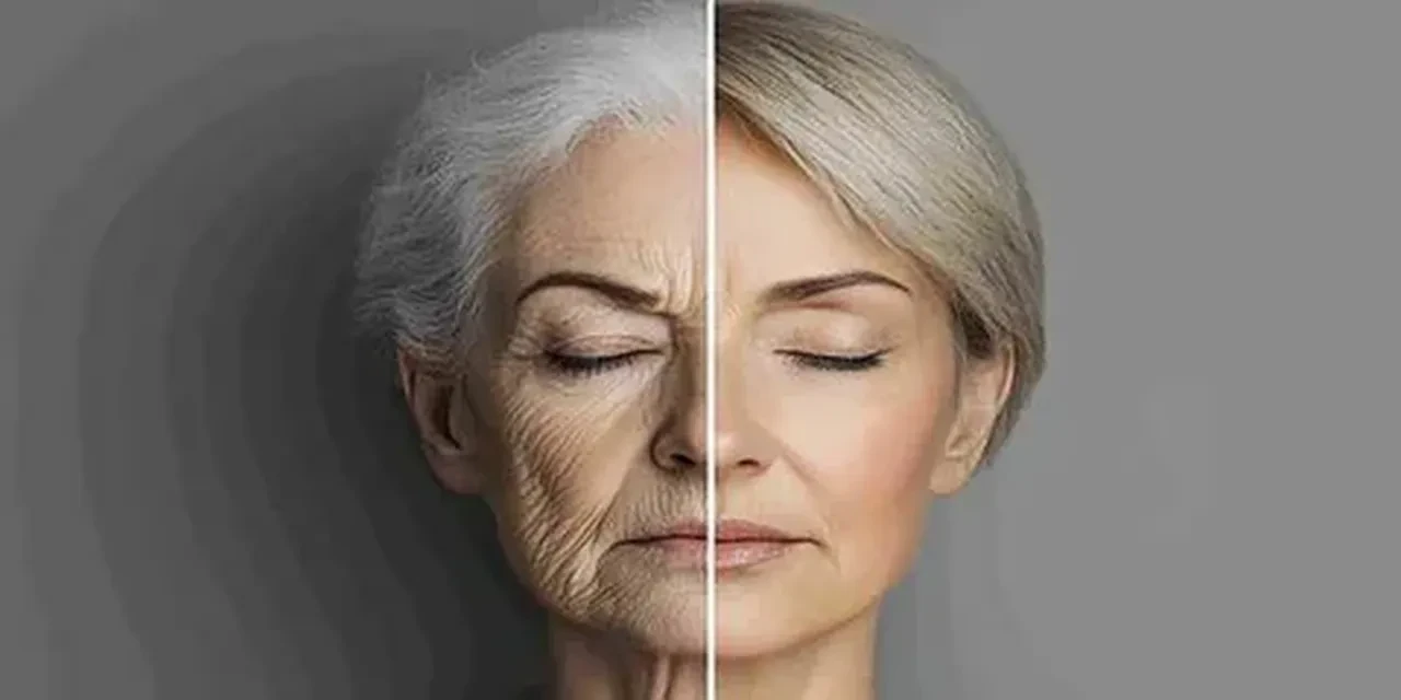 Yaşlanma karşıtı bakımda retinol mü, doğal alternatif mi? Hassas ciltler için en güvenli seçim 2026!