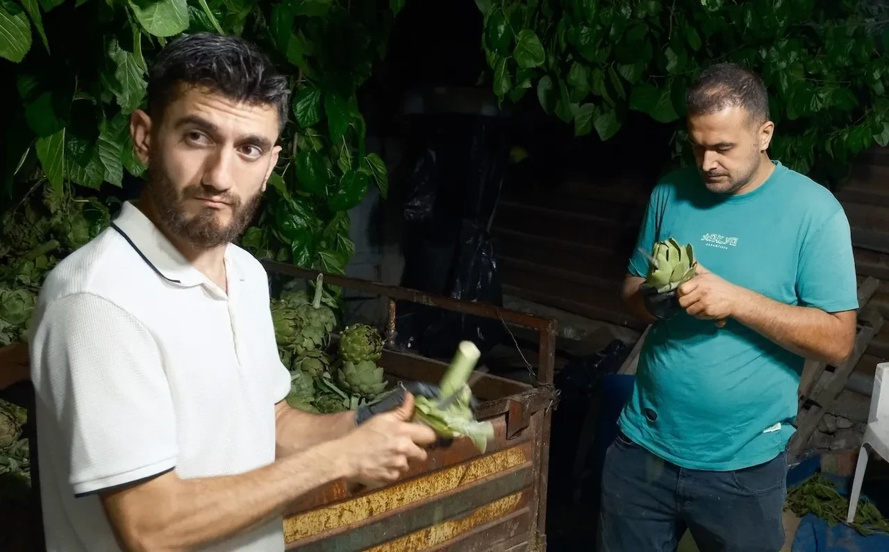 ENGİNAR SOYMA İŞİ 