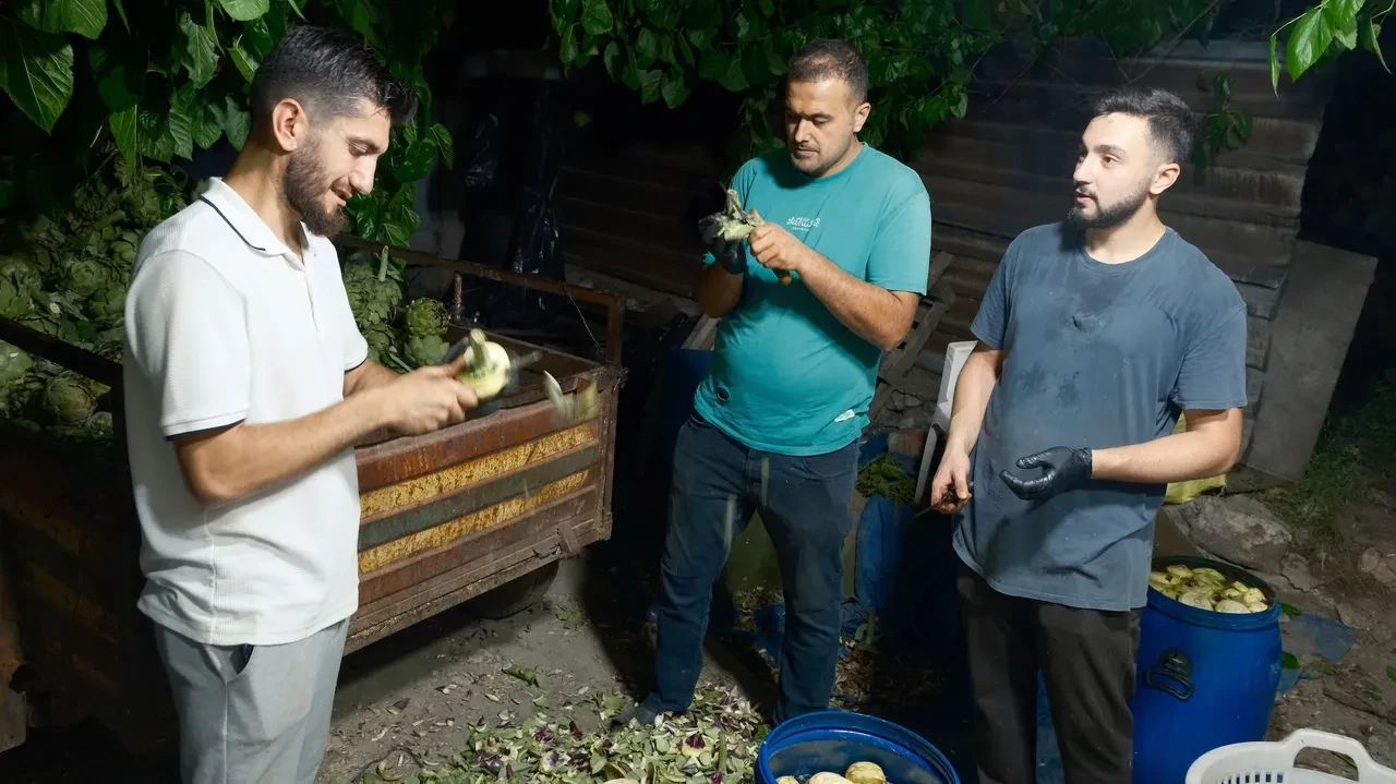 ENGİNAR SOYMA İŞİ 