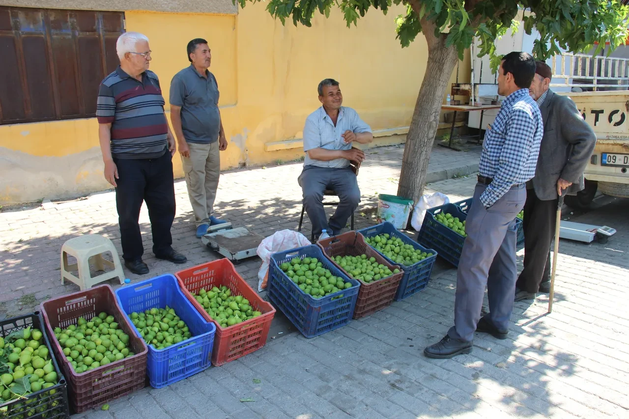Sinekler dökülmesini engelliyor daha ballı oluyor! Milli meyvenin kilosu belli oldu