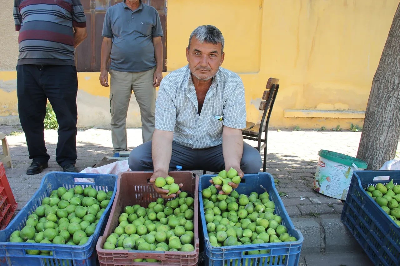 Sinekler dökülmesini engelliyor daha ballı oluyor! Milli meyvenin kilosu belli oldu