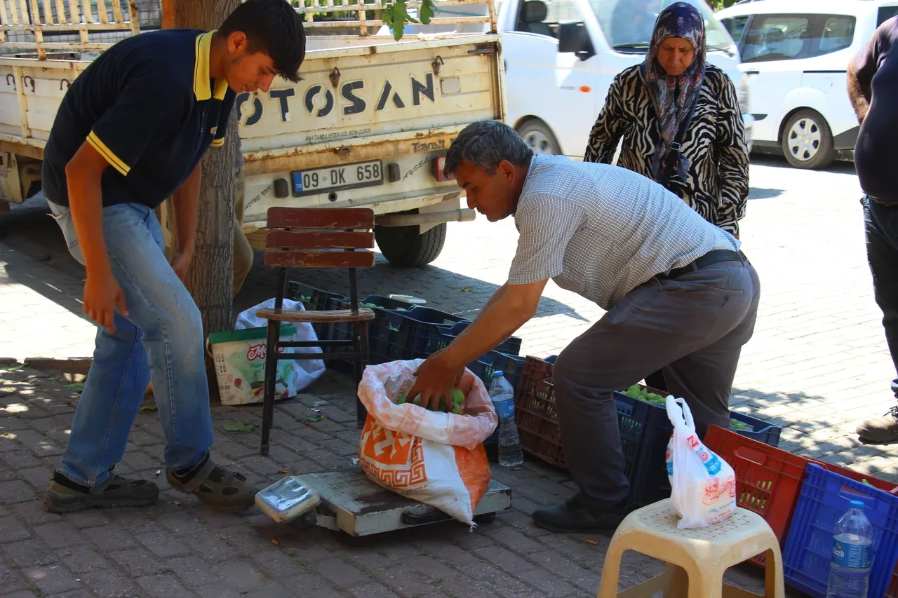 Sinekler dökülmesini engelliyor daha ballı oluyor! Milli meyvenin kilosu belli oldu