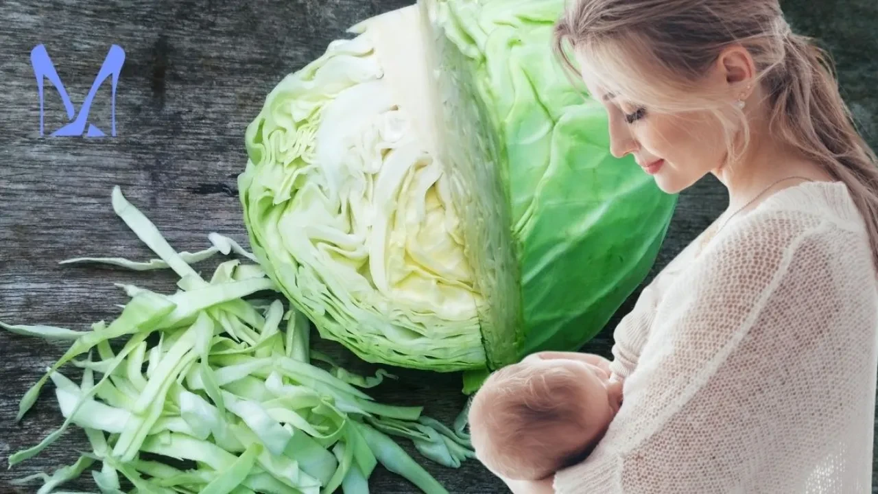 Sütten kesme döneminde annede oluşan göğüs şişmesi ve süt ateşini azaltan doğal lahana yaprağı kompresi!