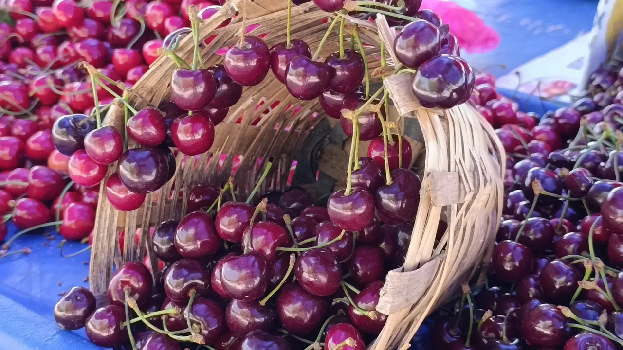 Kilosu 250 lirayı aşmıştı! Fiyatı öyle bir çakıldı ki duyan pazara koşuyor...