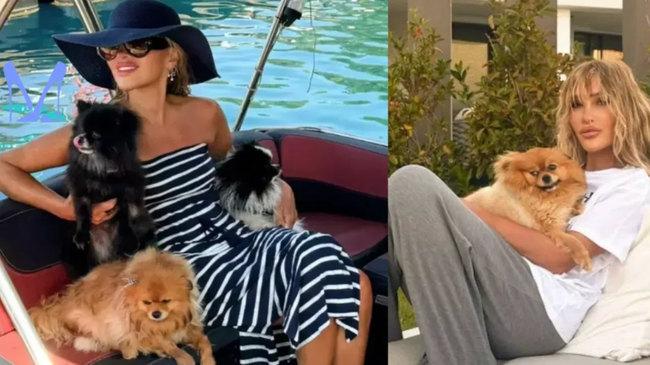 Seren Serengil acı haberle yıkıldı: Benim de hayatım sona erdi diyen Seren Serengil'in köpeği öldü