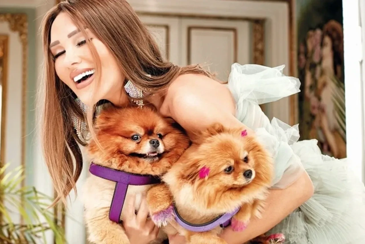 Seren Serengil acı haberle yıkıldı: Benim de hayatım sona erdi diyen Seren Serengil'in köpeği öldü