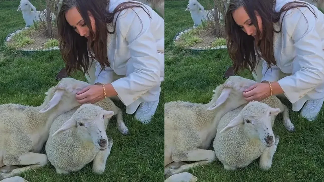 Asena dansı bıraktı, çiftliğe taşındı! Yeni aşk sonrası hayatıyla herkesi şaşırttı!