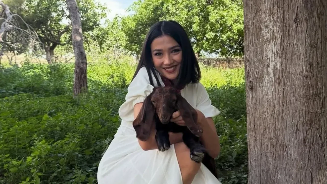 Aybüke Pusat'ın yeni projesi ne? Aybüke Pusat Halef dizisinden neden ayrıldı?